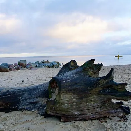 W Sopocie Miedzy Lasem A Morzem Daire Sopot