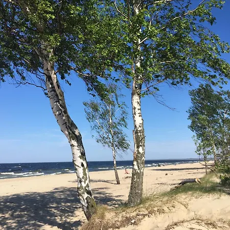 W Sopocie Miedzy Lasem A Morzem Daire Sopot