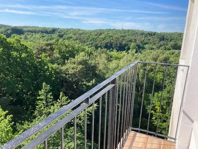 W Sopocie Miedzy Lasem A Morzem Daire