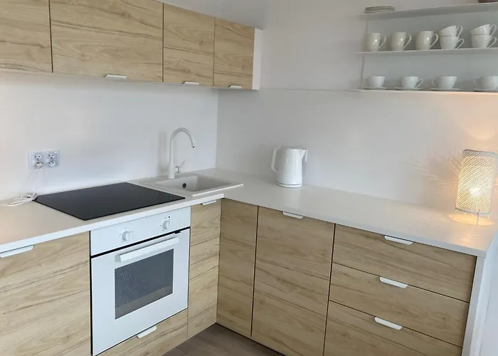 W Sopocie Miedzy Lasem A Morzem *