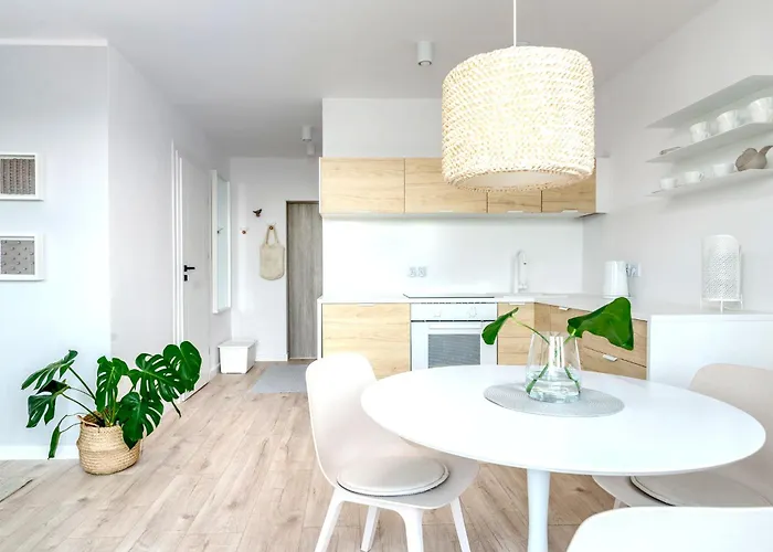 W Sopocie Miedzy Lasem A Morzem * Sopot