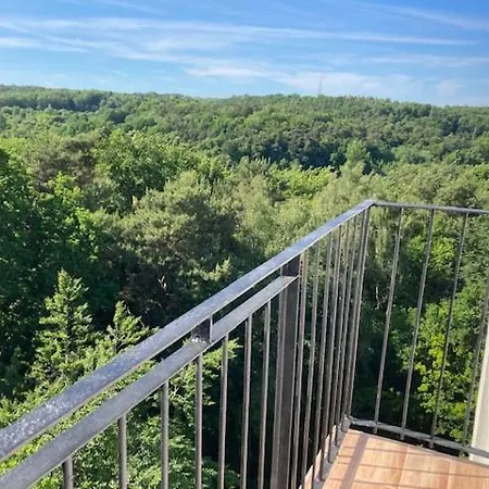 W Sopocie Między Lasem A Morzem Apartament