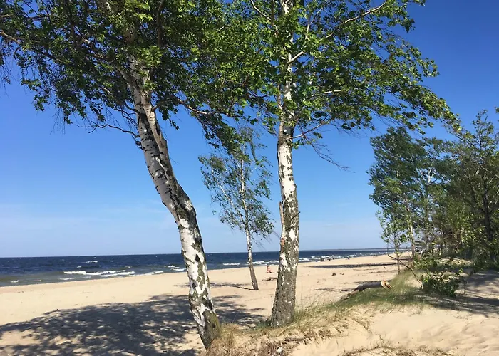 W Sopocie Miedzy Lasem A Morzem Lägenhet Sopot